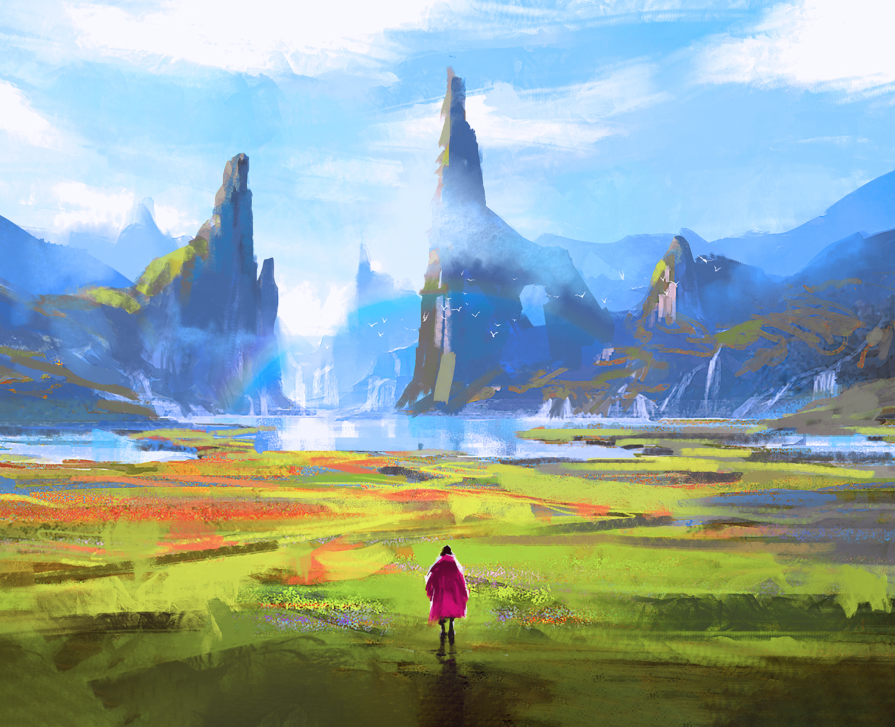 collection-banner-image